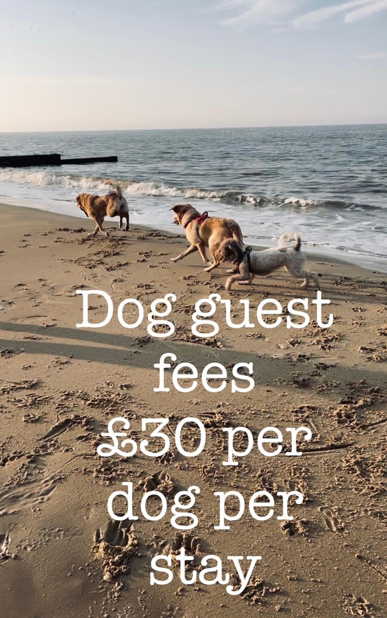 Willa Coastal Terrace Dogs Welcome Optional Hot Tub Sea Palling Zewnętrze zdjęcie